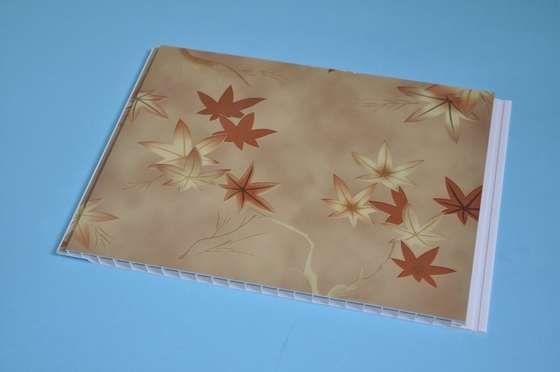 Los paneles de techo artísticos de la lamina de la cocina, prueba plástica del molde de los tableros del techo